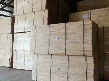 ������XF02