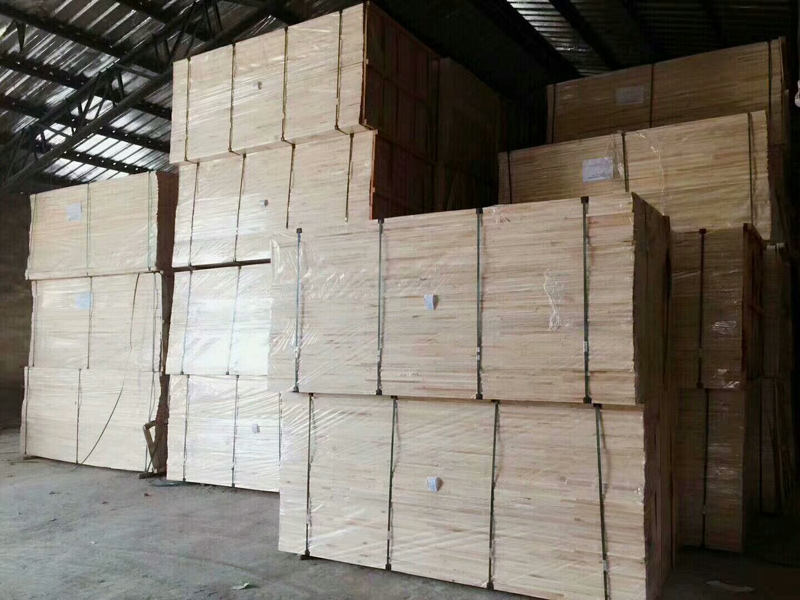 ������XF02