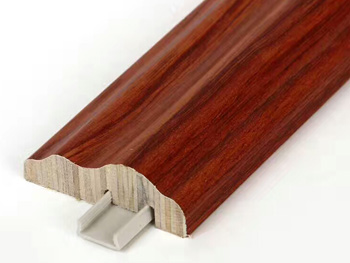 ȫ�ݶ���XF011