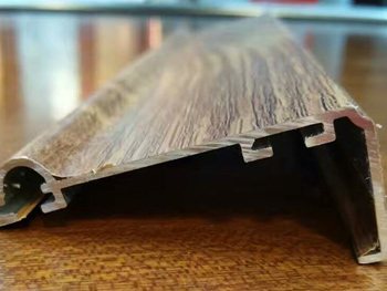 ȫ�ݶ���XF019